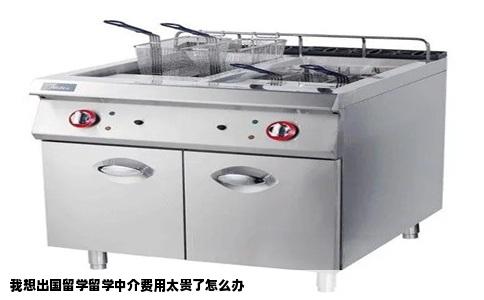 我想出国留学留学中介费用太贵了怎么办