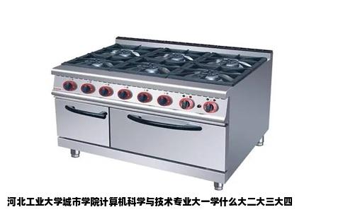 河北工业大学城市学院计算机科学与技术专业大一学什么大二大三大四