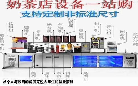从个人与政府的角度来说大学生的就业策略