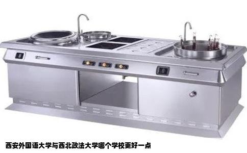 西安外国语大学与西北政法大学哪个学校更好一点