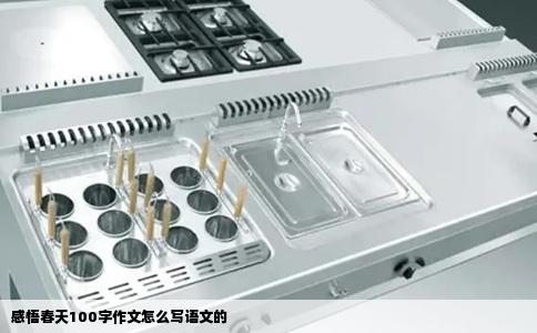 感悟春天100字作文怎么写语文的