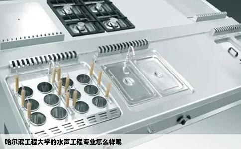 哈尔滨工程大学的水声工程专业怎么样呢