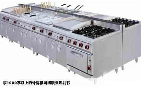 求1000字以上的计算机网络职业规划书
