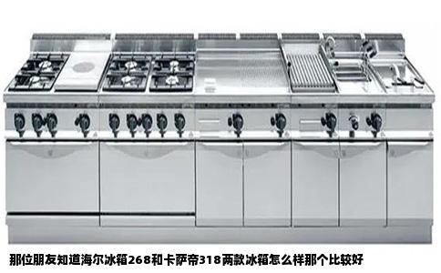那位朋友知道海尔冰箱268和卡萨帝318两款冰箱怎么样那个比较好