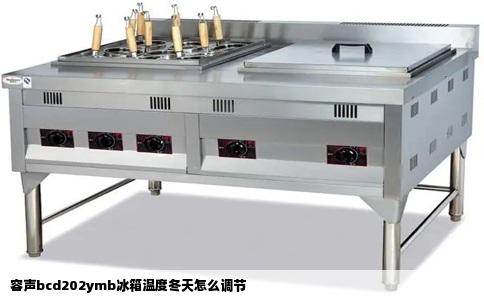 容声bcd202ymb冰箱温度冬天怎么调节