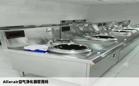 Allerair空气净化器管用吗