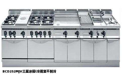 BCD252MJV三星冰箱l冷藏室不制冷