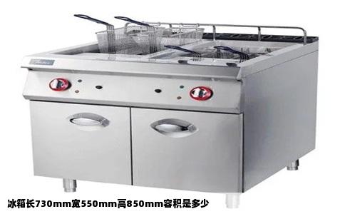 冰箱长730mm宽550mm高850mm容积是多少