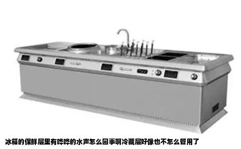 冰箱的保鲜层里有哗哗的水声怎么回事啊冷藏层好像也不怎么管用了