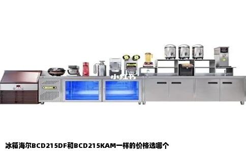 冰箱海尔BCD215DF和BCD215KAM一样的价格选哪个