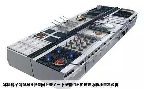 冰箱牌子叫BUSH但是网上查了一下没有也不知道这冰箱质量怎么样