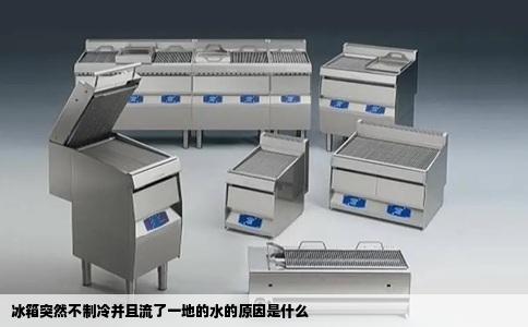 冰箱突然不制冷并且流了一地的水的原因是什么