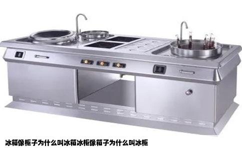 冰箱像柜子为什么叫冰箱冰柜像箱子为什么叫冰柜