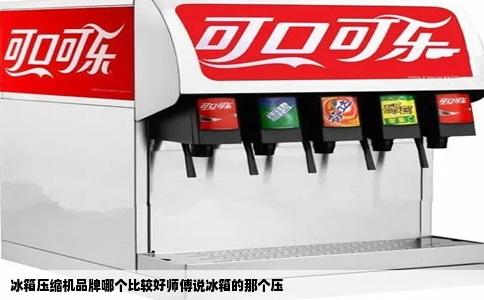 冰箱压缩机品牌哪个比较好师傅说冰箱的那个压