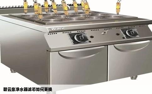 碧云泉净水器滤芯如何更换