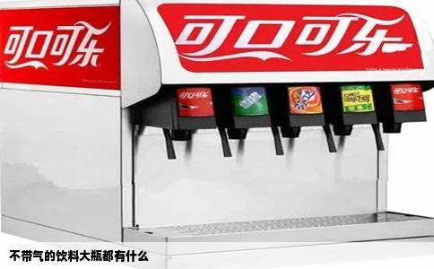 不带气的饮料大瓶都有什么
