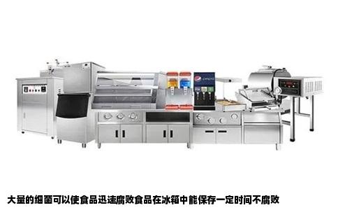 大量的细菌可以使食品迅速腐败食品在冰箱中能保存一定时间不腐败