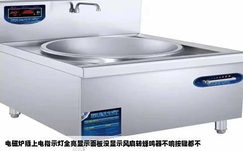 电磁炉插上电指示灯全亮显示面板没显示风扇转蜂鸣器不响按键都不