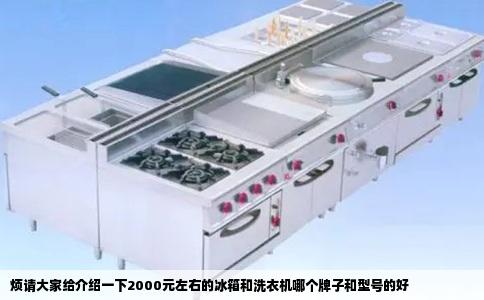 烦请大家给介绍一下2000元左右的冰箱和洗衣机哪个牌子和型号的好