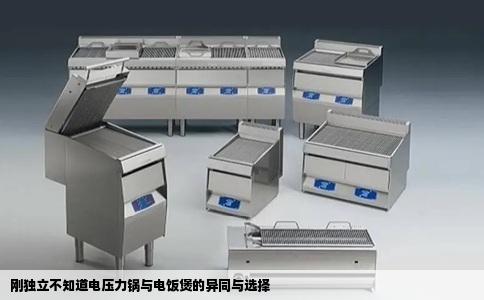 刚独立不知道电压力锅与电饭煲的异同与选择