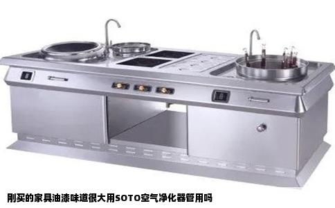 刚买的家具油漆味道很大用SOTO空气净化器管用吗