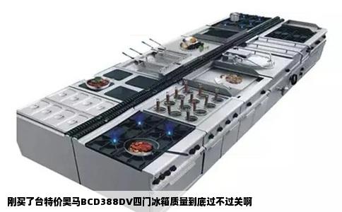 刚买了台特价奥马BCD388DV四门冰箱质量到底过不过关啊