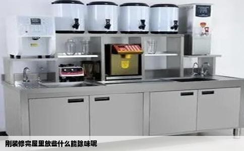 刚装修完屋里放些什么能除味呢