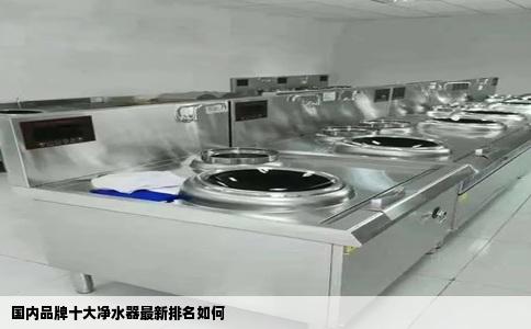 国内品牌十大净水器最新排名如何