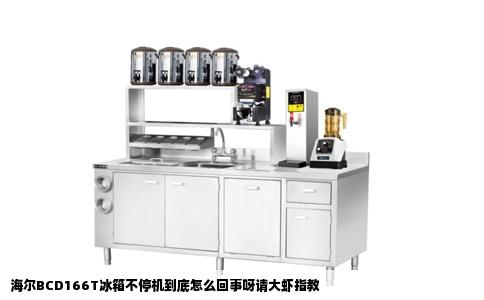 海尔BCD166T冰箱不停机到底怎么回事呀请大虾指教