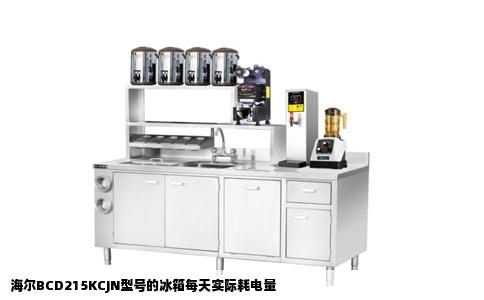 海尔BCD215KCJN型号的冰箱每天实际耗电量