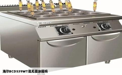 海尔BCD539WT是无霜冰箱吗