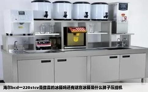 海尔bcd一220stcv是微霜的冰箱吗还有这台冰箱是什么牌子压缩机
