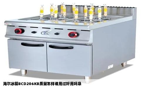 海尔冰箱BCD206KB质量怎样谁用过好用吗急