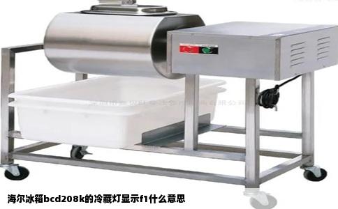 海尔冰箱bcd208k的冷藏灯显示f1什么意思