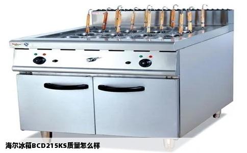 海尔冰箱BCD215KS质量怎么样