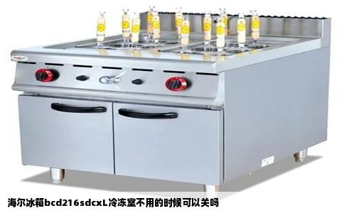 海尔冰箱bcd216sdcxL冷冻室不用的时候可以关吗