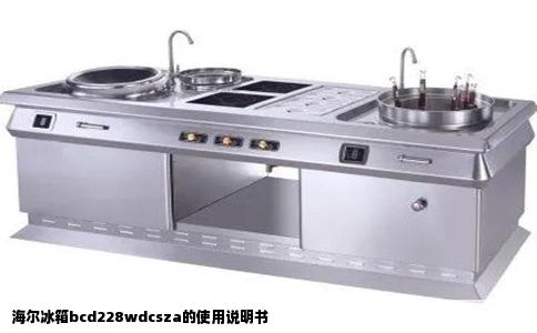 海尔冰箱bcd228wdcsza的使用说明书