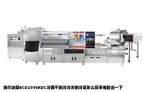 海尔冰箱BCD239SKDC冷藏不制冷冷冻制冷是怎么回事谁能说一下