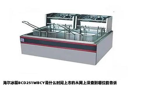 海尔冰箱BCD251WBCY是什么时间上市的从网上没查到哪位能告诉