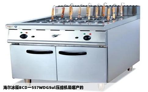 海尔冰箱BCD一557WDGSul压缩机是哪产的