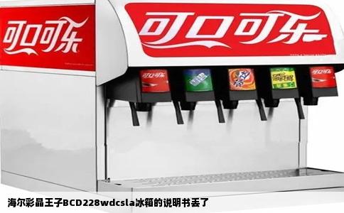 海尔彩晶王子BCD228wdcsla冰箱的说明书丢了