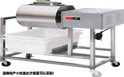 湖南特产小吃鱼长沙哪里可以买到l