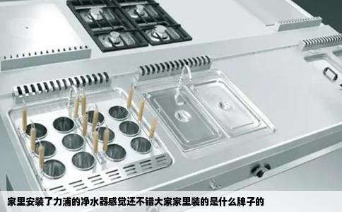 家里安装了力浦的净水器感觉还不错大家家里装的是什么牌子的