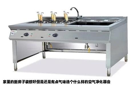 家里的新房子装修好但是还是有点气味选个什么样的空气净化器会