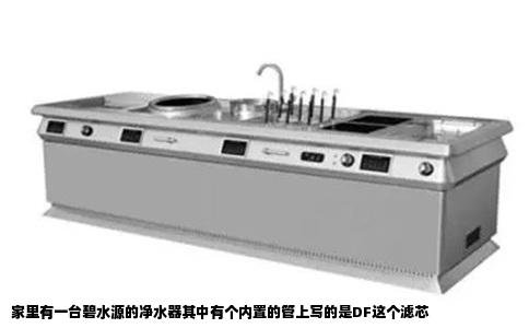 家里有一台碧水源的净水器其中有个内置的管上写的是DF这个滤芯