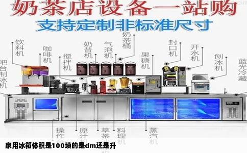 家用冰箱体积是100填的是dm还是升