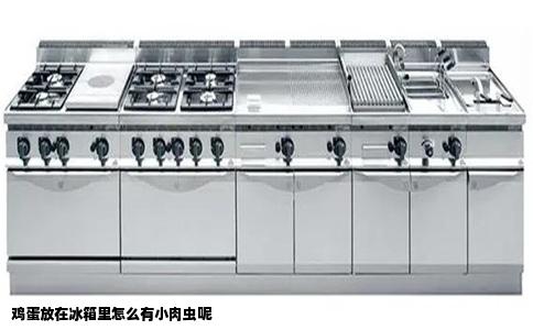 鸡蛋放在冰箱里怎么有小肉虫呢