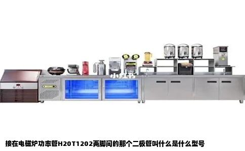 接在电磁炉功率管H20T1202两脚间的那个二极管叫什么是什么型号