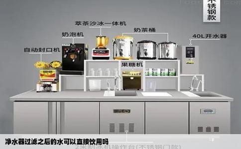 净水器过滤之后的水可以直接饮用吗