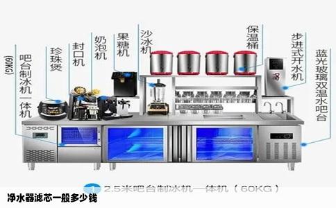 净水器滤芯一般多少钱